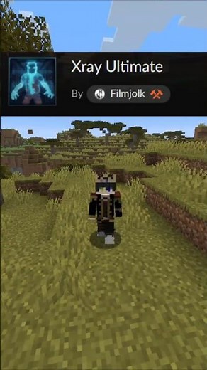 X-RAY IN MINECRAFT WITHOUT MODS #minecraft