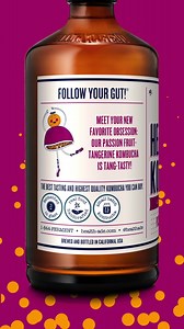 Tangy tangerine succulent passion fruit play perfectly together to create a flavor that is just the right amounts of exotic and familiar. Buy online & get FREE shipping! | Health-Ade