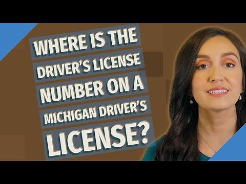Where is the driver's license number on a Michigan driver's license?