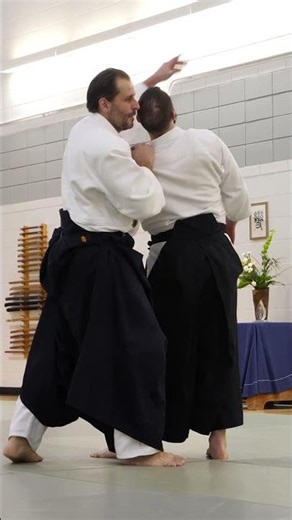 Aikido Guillaume Erard - Excerpt from a class in McGill University