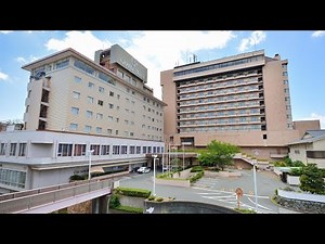 Grand Hotel Hamamatsu, Japan | Travel Book