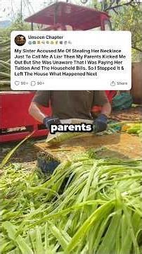 My Sister Accused Me Of Stealing Her Necklace Just To Call Me A Liar Then My Parents......