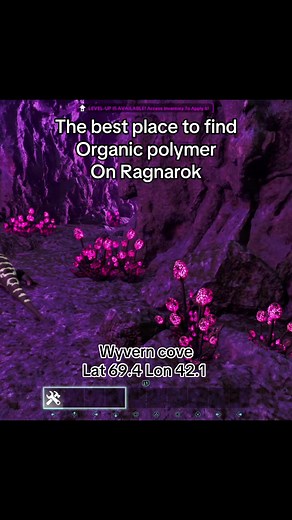 Organic Polymer Location in Wyvern Cove on Ragnarok