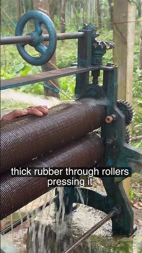 Natural process of making rubber