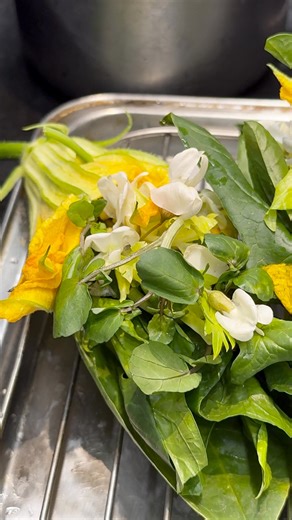 Dégustez notre fleur de courgette farcie d'un pêle-mêle de légumes de saison et fleurs d’acacia ☀️ *** Try our courgette flowers stuffed with a medley of seasonal vegetables and acacia flowers, ☀️ @yannickalleno @vincenzo.tirelli2 @barbingerard @fanny.perrot.961#pavillonledoyen #gastronomie #cuisine #chef #michelinstar #troisetoiles #restaurant #courgette #entree 🎥 @culinary_agency 📸 @simondetraz | Alléno Paris au Pavillon Ledoyen