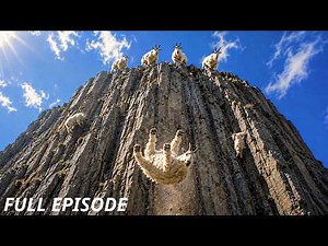 Mountain Goats Face a Difficult Cliffside Journey | Wildlife Documentary