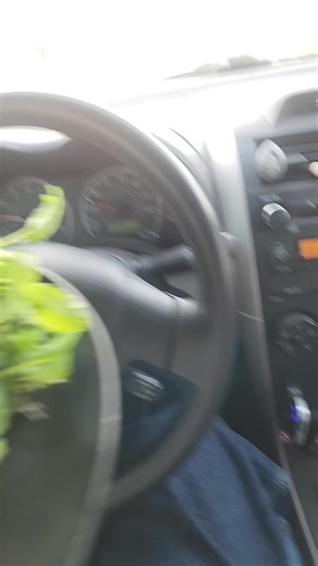 When your lunch break is a suggestion and your car becomes a food truck. Chicken in one hand, microgreens in the other. If you see me chewing at a red light, mind your business — I’m running a mobile farm over here. 🚗🥗 #RobbyDsLilGreens #Microgreens #DriveThruDiet #FarmerInTraffic #MealOnWheels