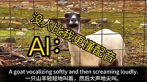 AI懂配音了❗️「Draw anAudio」理解视频内容，生成与画面内容匹配的音频