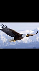 2026 Prophetic Declaration “The Year of the Hungry” I hear the Spirit of the Lord declaring that 2026 will be the Year of the Hungry. Those who pursue God with intention, desperation, and expectation will experience the weight of His glory resting upon every area of their lives. This is the year where the thirsty will be filled. The water is coming. Jesus is the well that never runs dry and those who draw from Him will not lack, for He will provide. The Lord says, “Do not fear.” You have been re