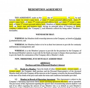 Business Buy Sell Redemption Agreement Template - Etsy