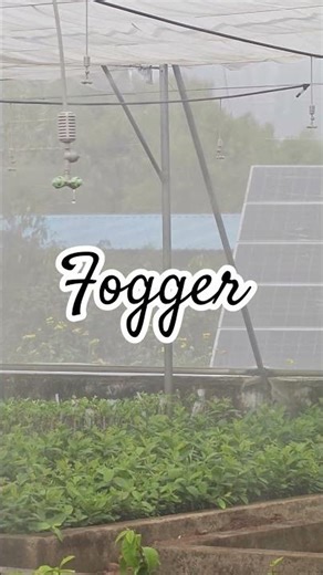Fogger for Humidity and Temperature