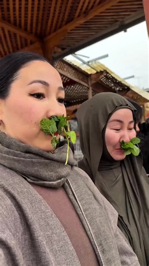 Tannery Visit in Morocco: Why Visitors Hold Mint to Their Noses