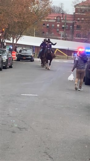 Southeast | Hugo Boss