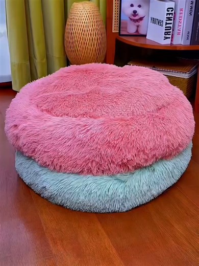 Comfortable Cat and Dog Beds for Your Pets