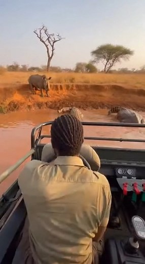 333K views · 808 reactions | RIVER MONSTER ATTACK!  Rangers Drive Jeep INTO Croc to Save Rhino! | Wildlife Film AI | Facebook