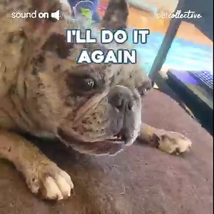 163K views · 1.3K reactions | Translation....."We Have Too Many Remotes" | Try Not to Laugh | Facebook