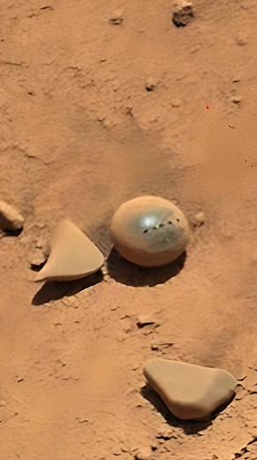 161K views · 1.4K reactions | What Is This Object on Mars?...