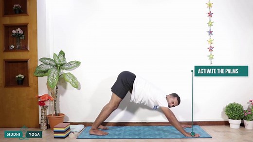 Explore Types of Yoga Inversions – Top Inversion Yoga Poses