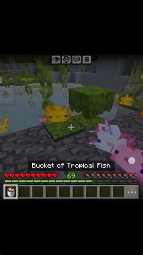 Minecraft cute moment #minecraft #shorts