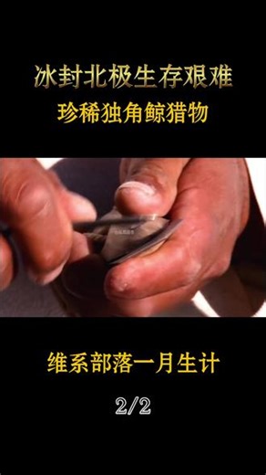 冰封北极生存艰难，珍稀独角鲸猎物，维系部落一月生计 #纪录片#因纽特人#因纽特人纪录片#因纽特人的生活#涅涅茨人