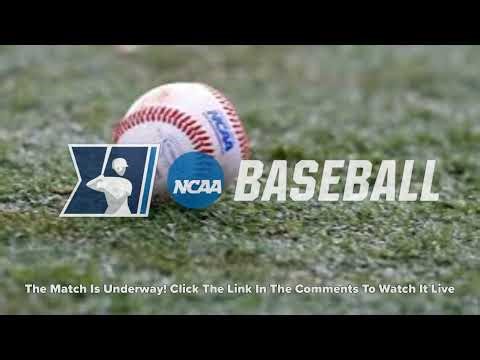 LIVE: Cincinnati vs Jacksonville State – NCAA Baseball 2026