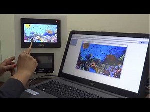 FP4 VNC SERVER Functionality