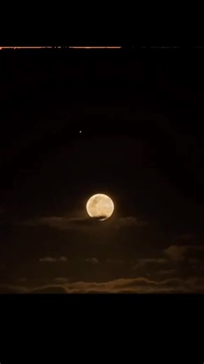 @who_issss_this on Instagram: "🍁❤️‍🩹 . . . . . . . . . #trendingreels #instagood #foryou #foryoupage #explorepage #instafeeds #trendsongs#explorereels"