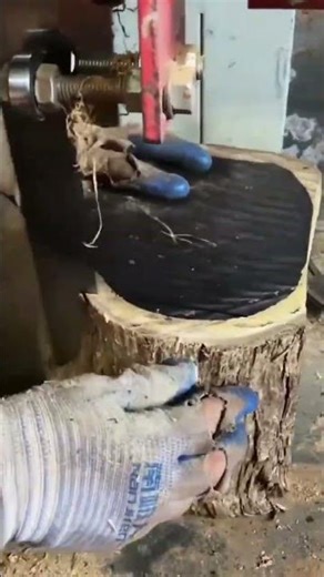 Powerful band saw machine cutting large wooden log into pieces