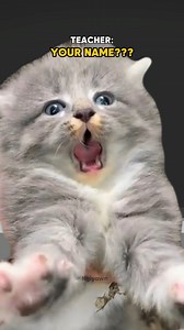 Worst Names | Ngiyawn