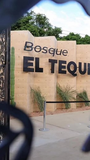 Discover Oaxaca: Explore Bosque El Tequio
