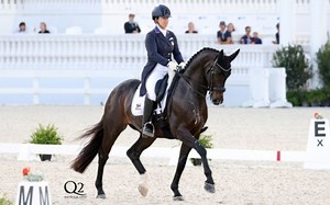 USEF Third Level Test 3 (Jr-YR/AA/Open) - World Equestrian Center – Ocala Dressage V - 2022 | Videos, Live Streams, Films and Shows | ClipMyHorse.TV