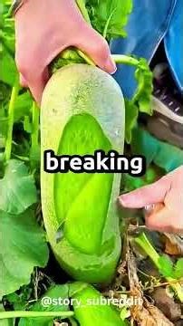 #redditmemes #redditstories