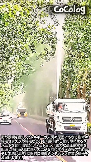 街の綿毛トラブルを解決！強力散水車による都市メンテ作業 #worker #process #street #water #machinery