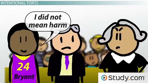 Tort Law | Definition, Types & Examples