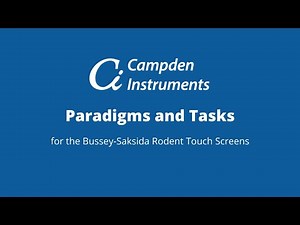 Autoshaping Task for Rodents (Auto) (CS+ approach)