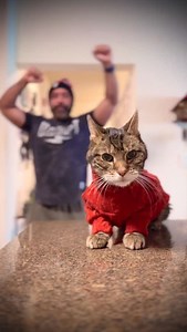 2.4K views · 345 reactions | He’s judging me. Happy holidays. What’s one small thing you’re grateful for today? #happyholidays #dancing #cat #chillvibes #gratitude | Frank Paul Vignola, Men's Coach | Facebook