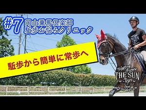 #7 駈歩から簡単に常歩にするポイント【乗馬上達 駈歩集中クリニック】 - 岡山乗馬倶楽部-