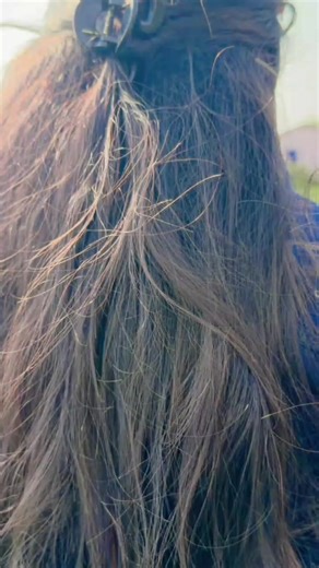 Exploring Surkhet Chaurasee-9: A Unique Day Out