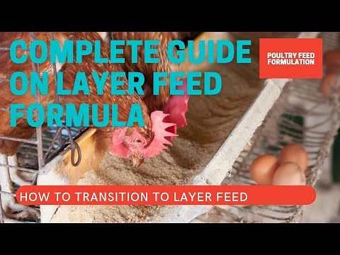 COMPLETE GUIDE ON LAYER FEED FORMULATION, HOW TO TRANSITION TO LAYER FEED? (HD QUALITY)