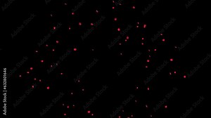 4K Rose Petals Falling realistic animation falling rose petals. You can replace background. Engagement, Marriage, Holiday, Beauty, Fashion, Romantic, Valentine, Music, Festival Bridal Memorial