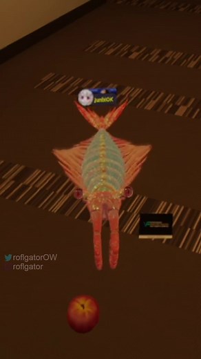 Anomalocaris Meme Compilation