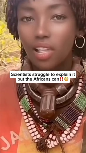 Healthy Living Co on Instagram: "Western dental care throws chemicals and dental visits on the first sign of issue. But it rarely fixes the root cause: bacterial imbalance, weak enamel, and toxic habits. The miswak, used for thousands of years, strengthens and whitens naturally treating the cause. #cavities #toothbrush #teethwhitening"