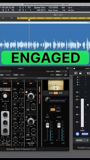 Audio Plugins To Remove Boxy Voice Over Sound #EQ #processing