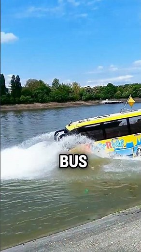 He Drove The Bus Into The Ocean