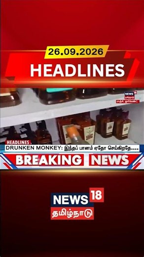 Drunken Monkey | Ranchi | Jharkhand | Viral Video | DRUNKEN MONKEY: This drink is doing something...