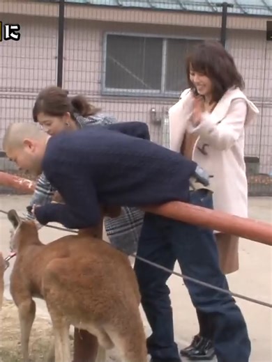 明るいの闇の部屋での矛盾の瞬間