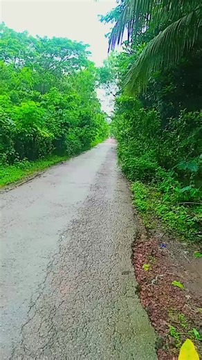 alauddin on TikTok