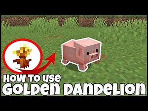 How To Use GOLDEN DANDELIONS In MINECRAFT