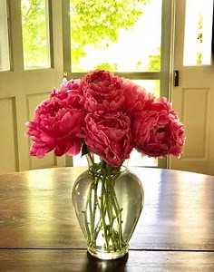 Greetings everyone, we are back for episode 21 of Songs From Home, we’ve moved out onto the screened porch, it’s a tranquil early summer twilight…you can hear the birdsong, the bull frogs, and the sunset is beautiful…time for a night song... I wrote “No Fear” with my friend Terri Clark many years ago and it’s one of my favorites… as we navigate these difficult days, one of our most important tasks is keeping our fears in check in order to take care of ourselves and one another. Perhaps it's not 