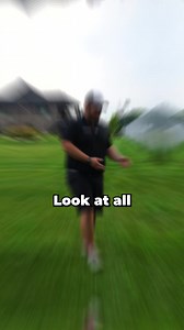 565K views · 2.1K reactions | How to Get Rid of Broadleaf Weeds! #lawn #lawncare | Big Lakes Lawncare LLC. | Facebook